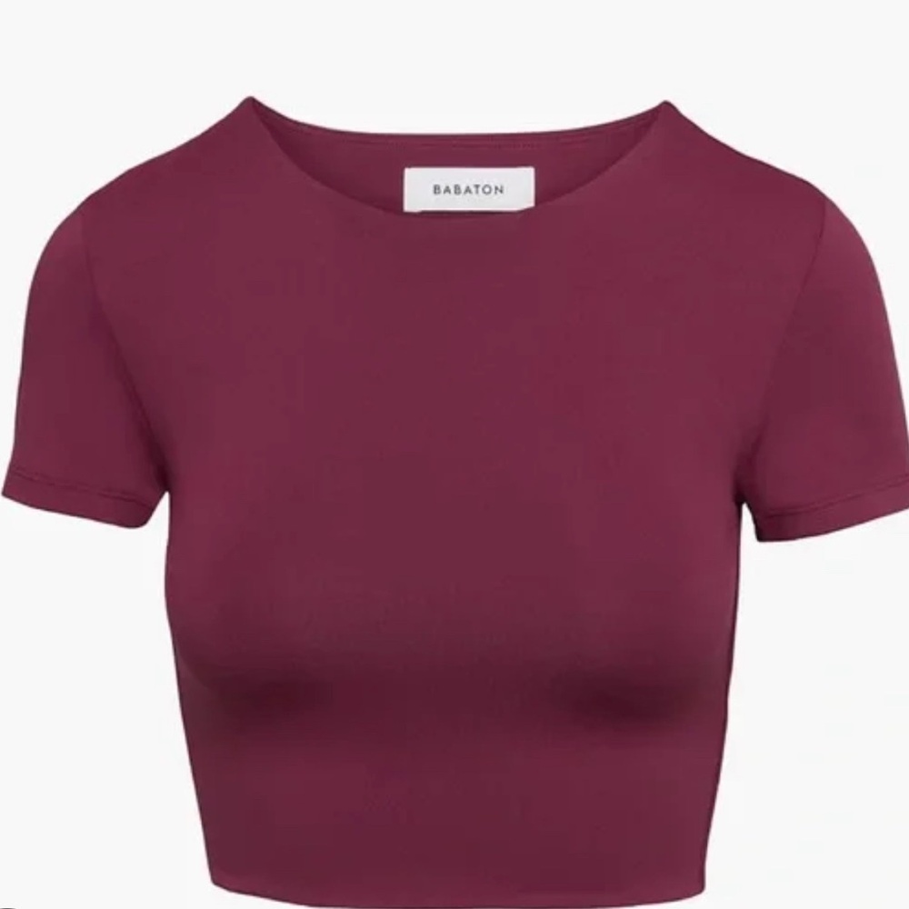 Aritzia Babaton Contour cropped T-shirt